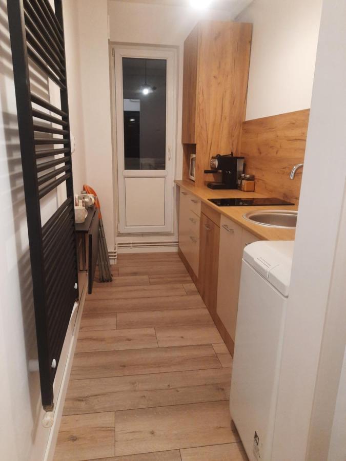 Lyra Apartment Sfantu Gheorghe  ภายนอก รูปภาพ